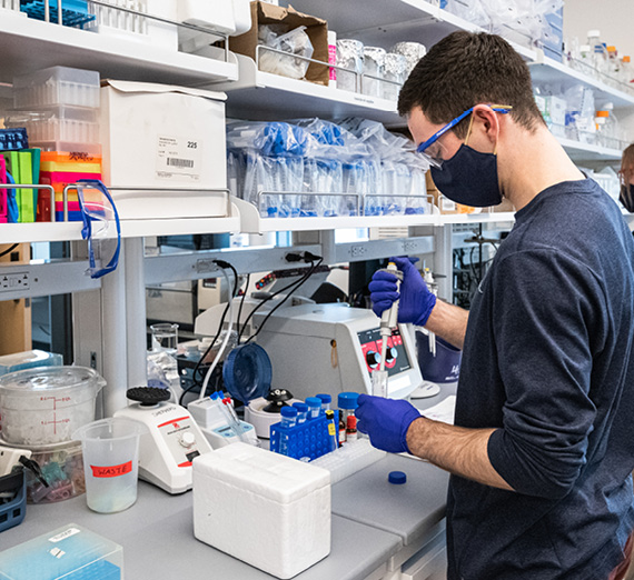 نجوم مجرّية وصورة طالب